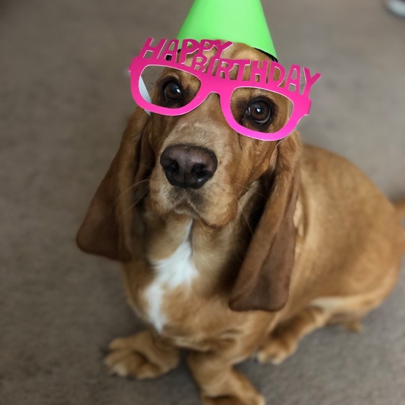 Meet your Posher, Brenda - Picture 2 of 16